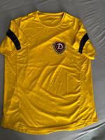 Altes DDR Trikot Shirt Dynamo Dresden XL retro vintage Thüringen - Erfurt Vorschau