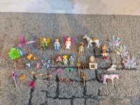 Feenfamilie Playmobil Sachsen - Rodewisch Vorschau