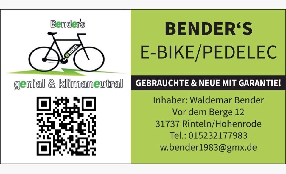 Pegasus/Bosch/65Nm/625Wh Akku/RH50/Bender's E-Bike Pedelec in Rinteln