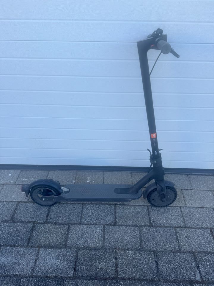 Ninebot E-Scooter in Neckarsulm