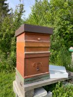Bienenbeute/n Herold Zander 1,5 Gebraucht Bayern - Mittelneufnach Vorschau