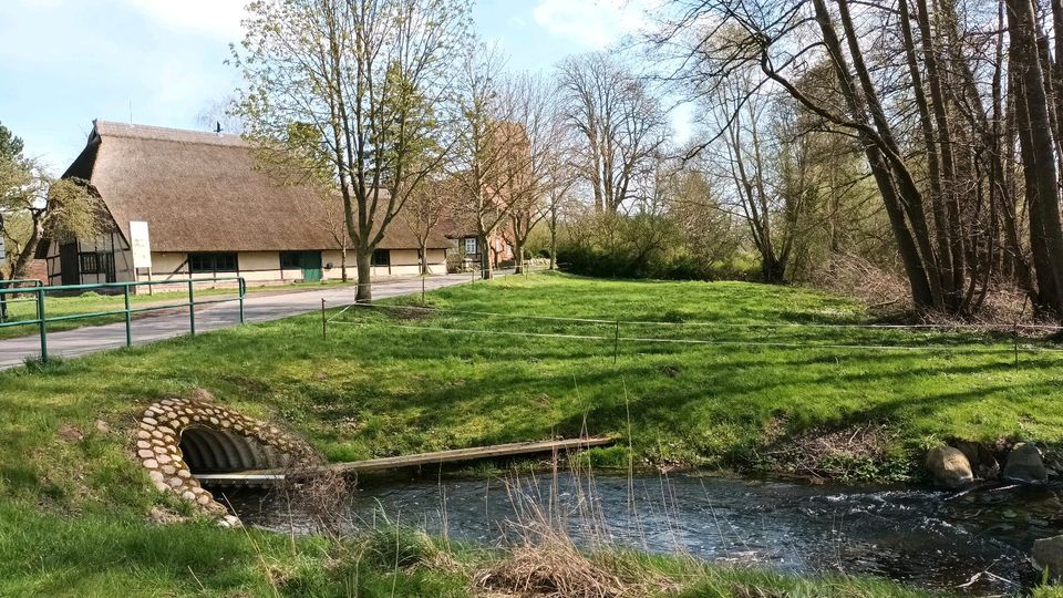 Ferienbungalow am Cramoner See Eigentumsland in Lübeck