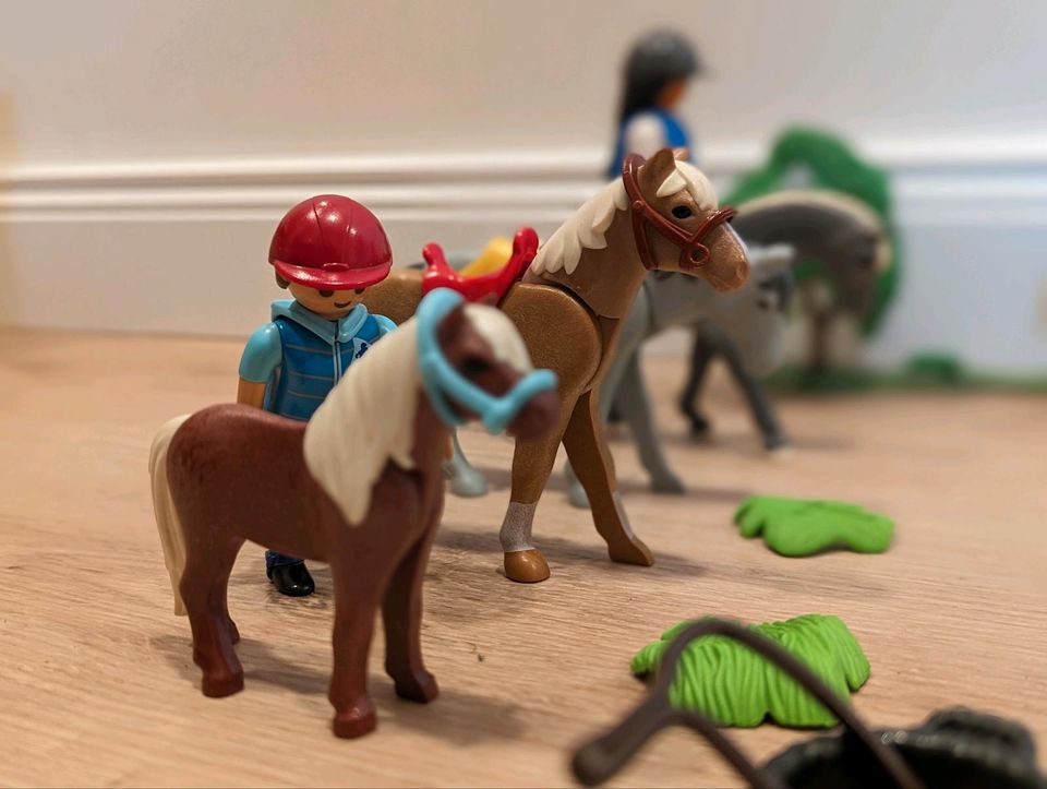 Playmobil Pferde und Reiter in Wiedemar