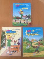 Drei große Bibi Blocksberg Bücher - NEU !!! - Hessen - Heuchelheim Vorschau