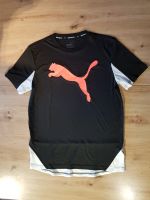 PUMA Sport Shirt T-Shirt Keeps You Dry Gr. 176 Hessen - Rödermark Vorschau