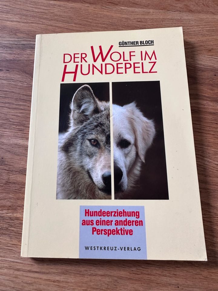 Der Wolf im Hundepelz - Günther Bloch in Essen