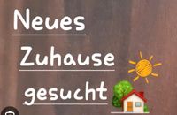 Pflegekraft sucht in Elz/ Umgebung 4 bis 5 ZKB Terasse/Garten Hessen - Hadamar Vorschau