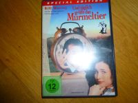 Und täglich grüßt das Murmeltier (DVD) Leipzig - Leipzig, Südvorstadt Vorschau