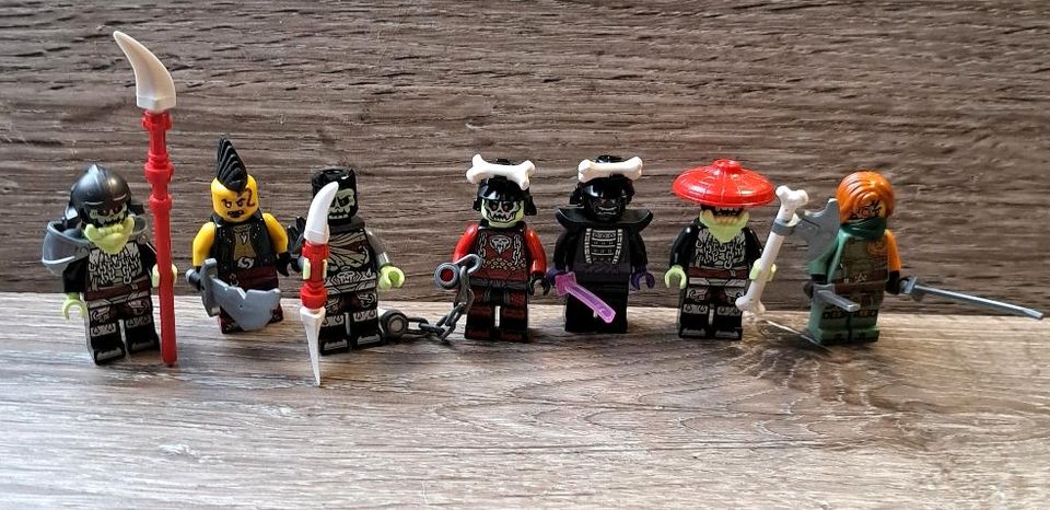 Lego Explorer Jurassic Ninjago Figuren zur Auswahl je 2€ in Haßmersheim