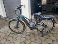 E-Bike Dynamik EVO nine 5 Hessen - Gedern Vorschau
