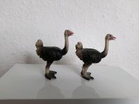 Schleich Tier 14091 Vogel Strauß, Ostrich mit drei Zehen Sachsen-Anhalt - Gerwisch Vorschau