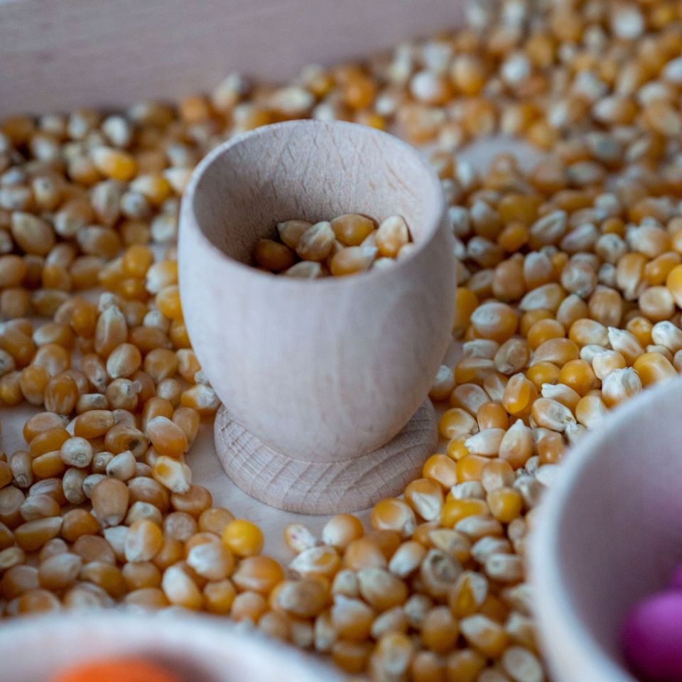 Montessori Holzschalen und Mörser-Set, Eierbecher in Solingen