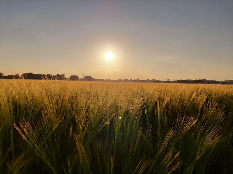 Ackerland, Ackerfläche, Feld in Vohburg an der Donau