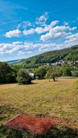 Mulcharbeiten Wiese Mulchen Mulcher Hessen - Aarbergen Vorschau