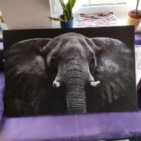 Keilrahmenbild "Elefant", Maße 118x78cm Niedersachsen - Jade Vorschau