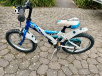 Bulls Tokee 16 Zoll Kinderfahrrad Mountainbike Fahrrad Blau Weiß Nordrhein-Westfalen - Bornheim Vorschau