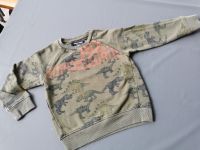 1. Hand NEXT SWEATER Dinosaurier 3-4 Jahre Khaki,grün Bayern - Karlstein Vorschau