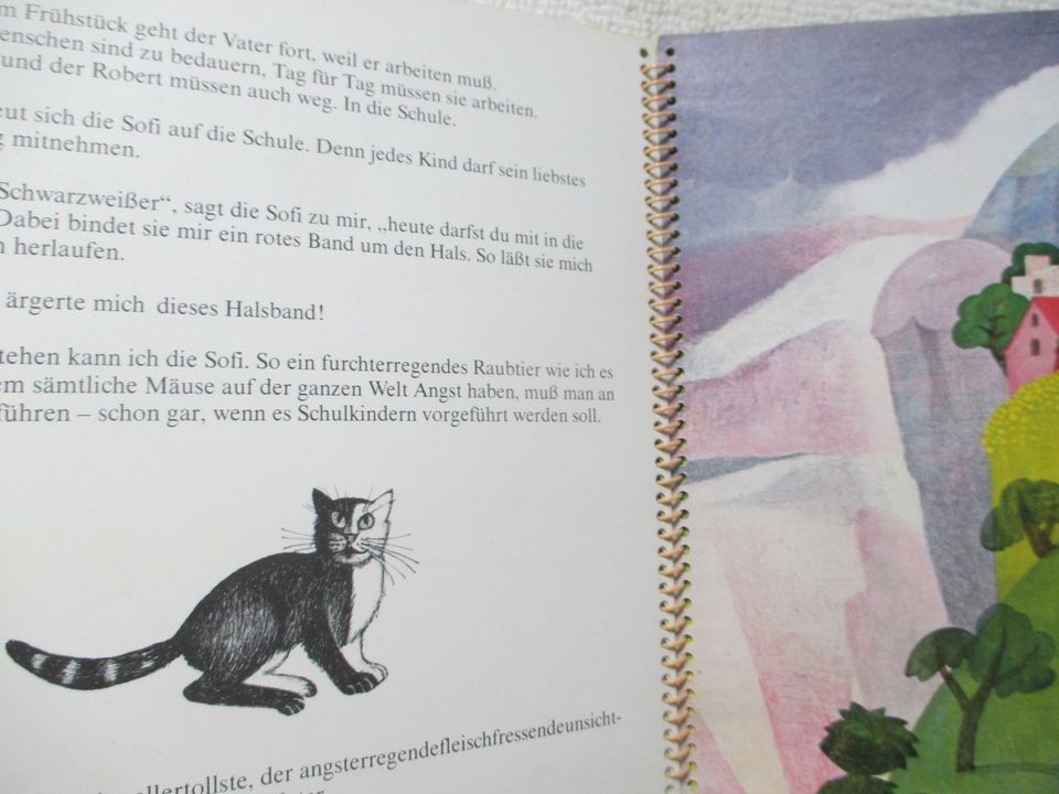 Die 24 Stunden des schwarzweißen Katers; Sellier Verlag; in Olching