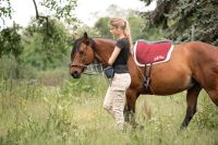 Tourenplanung Akademische Reitkunst Reitunterricht Bodenarbeit Baden-Württemberg - Heilbronn Vorschau