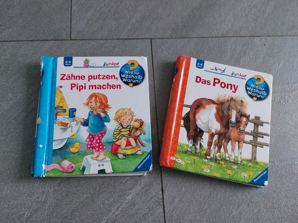 Wieso weshalb warum buch Bücher Zähne putzen,  das Pony in Hirschau