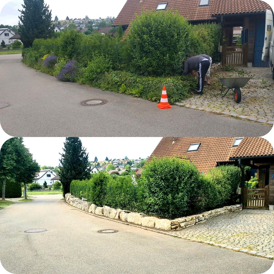 ✅️ Entrümpelungen-Haushaltsauflösunge in Steinheim