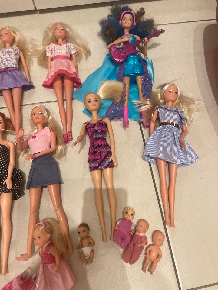 Barbie Konvolut in Surwold