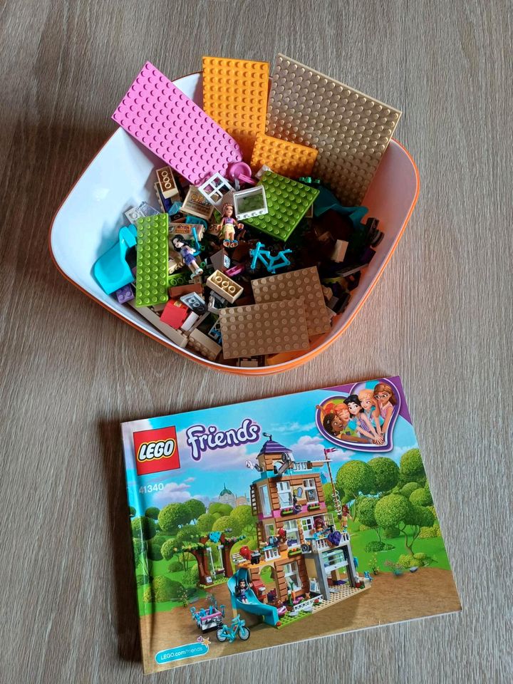 Lego Friends Freundschaftshaus in Wetzlar