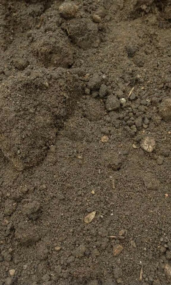 Boden mutterboden entsorgen erdaushub Bagger in Herne