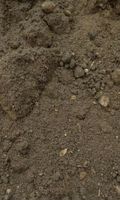 Boden mutterboden entsorgen erdaushub Bagger Nordrhein-Westfalen - Herne Vorschau