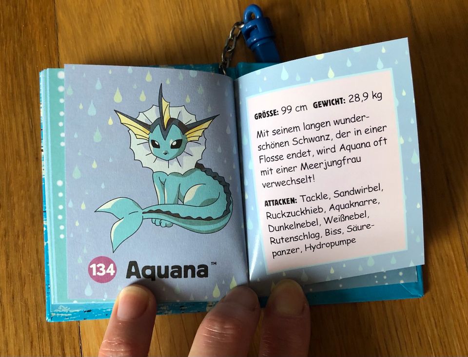 Pokémon / Pokemon Bücher / Lexikon / Anhänger / Figur in Ingolstadt
