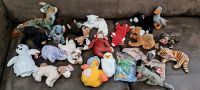 ty Beanie Babies,Sammlung, je 20 Euro Bayern - Bechhofen Vorschau