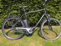 E Bike  Raleigh Nordrhein-Westfalen - Senden Vorschau