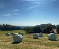 heulage, pferdesilage, silage, gärheu, allergiker pferde Bayern - Neureichenau Vorschau