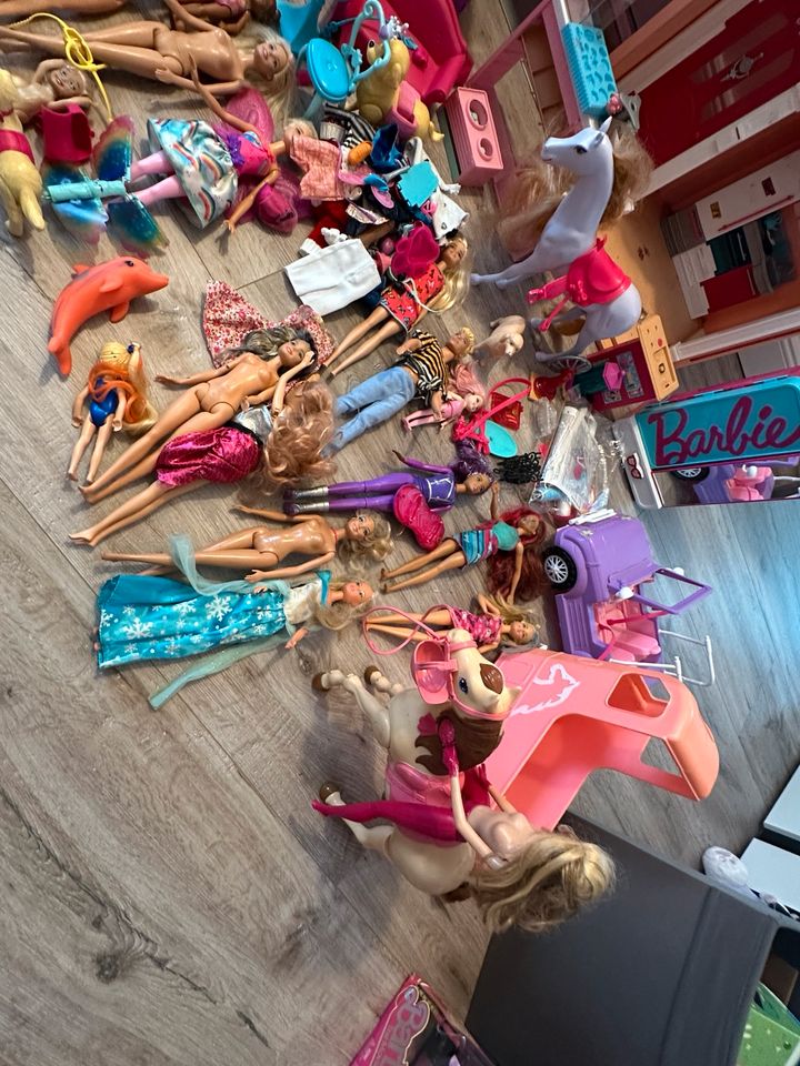 Barbie set, traumvilla, Haus in Todesfelde