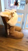 UGG Boots Baileys Button Triplet Chestnut Hessen - Steinau an der Straße Vorschau