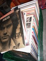 LP Schallplatten Sammlung Konvolut Schleswig-Holstein - Ahrensburg Vorschau