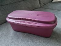 Pasta-Meister Pastameister Tupperware Sachsen-Anhalt - Lutherstadt Wittenberg Vorschau