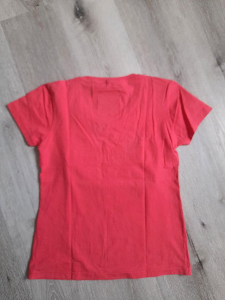 Tshirt von Hollister Gr. L stretch lachsfarben in Hanau