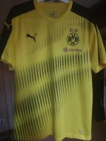 BVB Original Trainings-Trikot 2019/20 Sachsen - Wurzen Vorschau