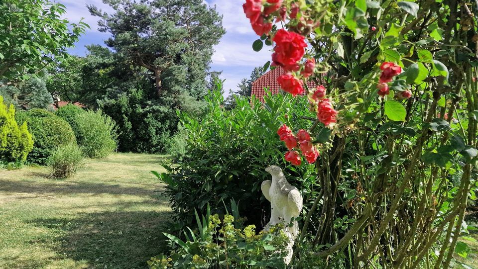 Familienidylle mit parkähnlichem Gartengrundstück bei Hettstedt in Hettstedt