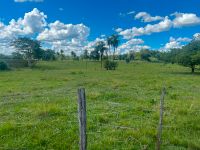 38 Ha. Grundstück mit Haus in Paraguay im D.San Pedro Brandenburg - Zossen-Zesch am See Vorschau