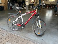 Mountainbike Damenfahrrad Fahrrad Jugendfahrrad Bayern - Oberndorf am Lech Vorschau