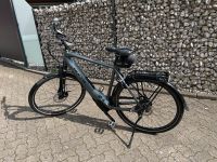 Bulls E-bike Citybike Lacuba EVO 5F inkl. Versicherung bis 2026 Schleswig-Holstein - Itzehoe Vorschau