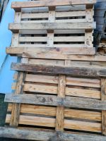 Holzpalleten günstig zum Verkaufen Nordrhein-Westfalen - Horn-Bad Meinberg Vorschau