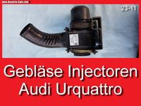 ❌ Injektorkühlung Audi Quattro Injector Gebläse Injectorkühlung Bayern - Bernhardswald Vorschau