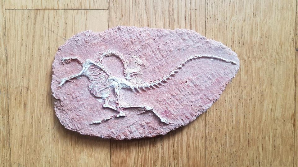 Kinder Spielzeug Fossil Dinosaurier Urzeit TOP Zustand in Wiesbaden