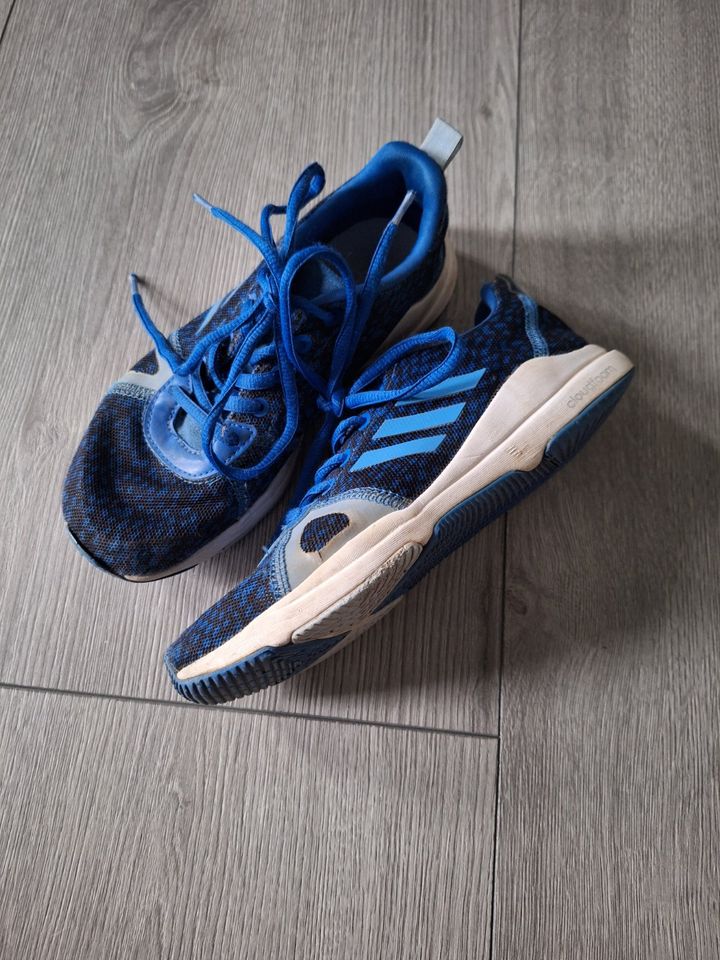 Adidas Sneaker Turnschuhe 36 blau Jungen Mädchen Kinder in Berlin