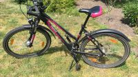 Pegasus Avanti Sport 26 Zoll Damen Fahrrad Brandenburg - Spremberg Vorschau