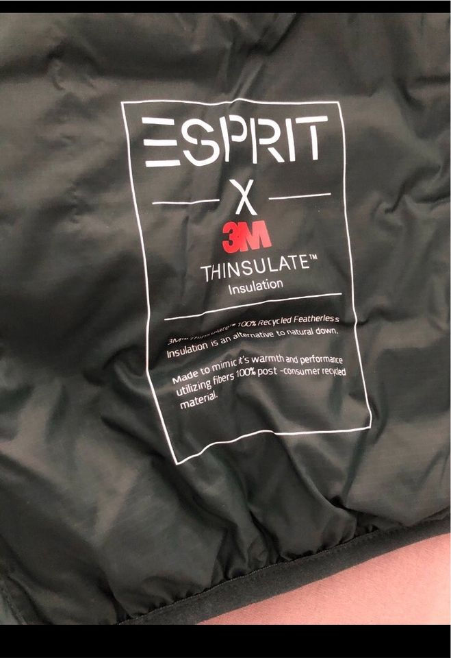 Esprit Jacke grün in Friedrichshafen