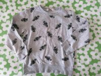 Jungen Pullover Sweetshirt 110 116 Roboter Nordrhein-Westfalen - Lohmar Vorschau